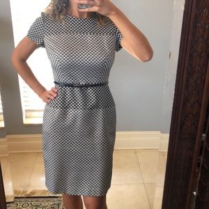 Calvin Klein black and white belted dress